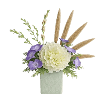 Ivory Blossom Radiance