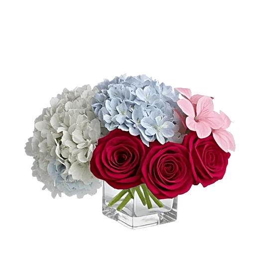 Crimson Rose Elegance