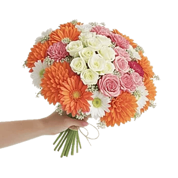 Delicate Petal Cascade