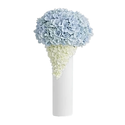 Ivory Blossom Radiance