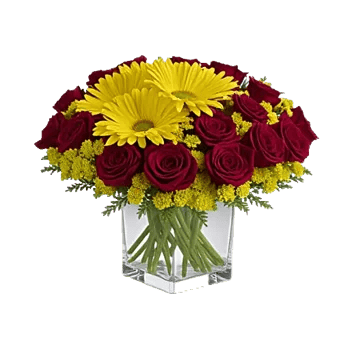 Golden Petal Harmony