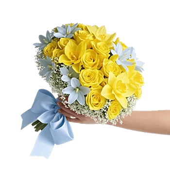 Blossom Harmony Display