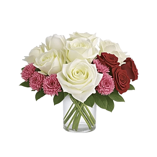 Radiant Rose Symphony