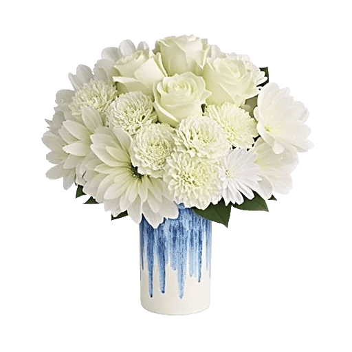 Ivory Blossom Radiance