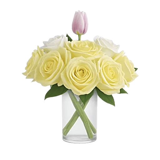 Ivory Blossom Radiance