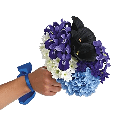 Elegant Calla Lilies