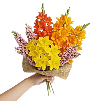 Blossom Glow Symphony