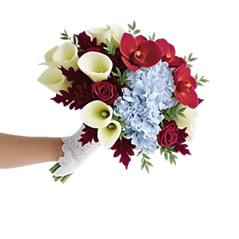 Elegant Calla Lilies