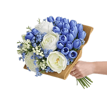 Blossom Petal Serenity