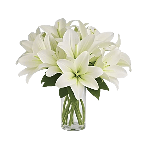 Graceful Lily Display