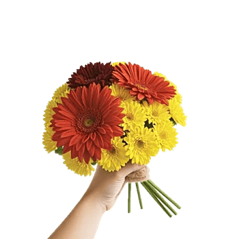 Radiant Bloom Cascade