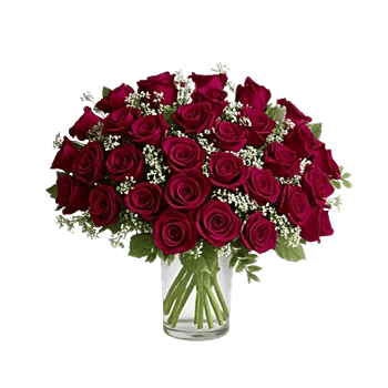 Glistening Rose Garden