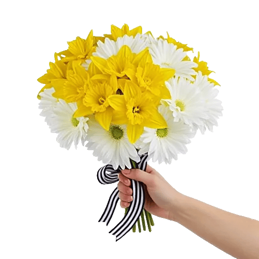 Blossom Harmony Display