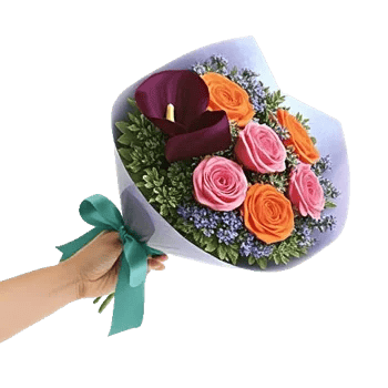 Elegant Calla Lilies