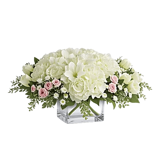Serene Petal Harmony