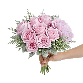 Pastel Pink Roses