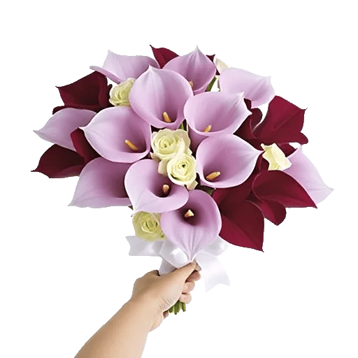 Elegant Calla Lilies