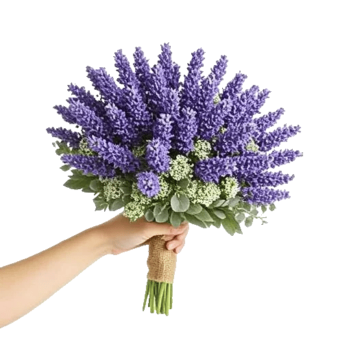 Lavender Bloom Grace