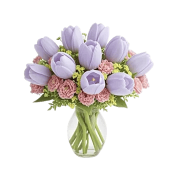 Velvet Tulip Display