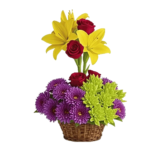 Blossom Harmony Display