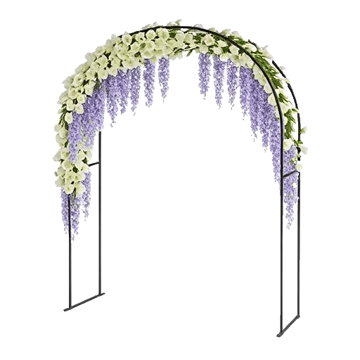 Elegant Calla Lilies