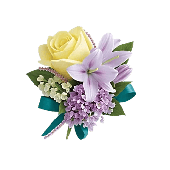 Blossom Petal Serenity