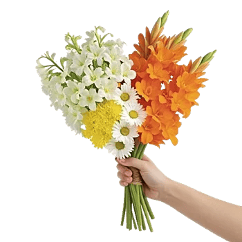 Blossom Harmony Display
