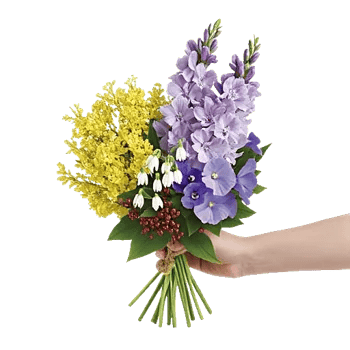 Blossom Harmony Display