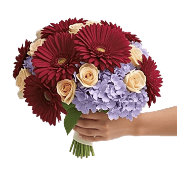 Crimson Blossom Harmony