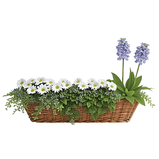 Cobalt Bloom Mix