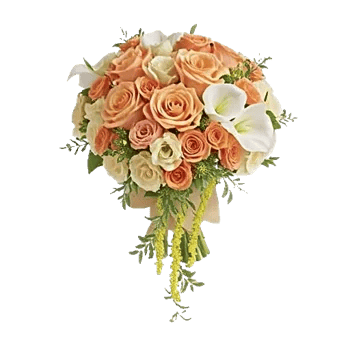 Delicate Petal Cascade