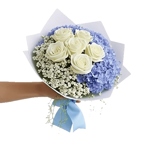 Serene Petal Harmony