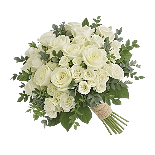 Minimalist White Orchids