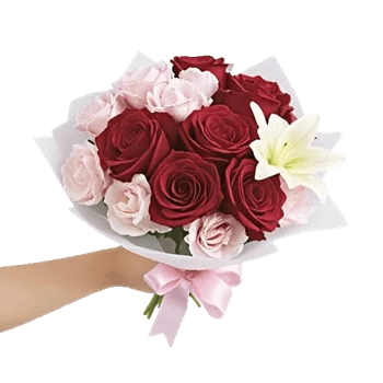 Crimson Rose Elegance