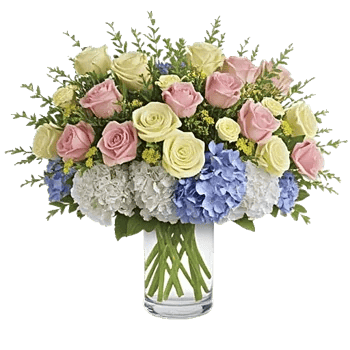 Blooming Serenity Display