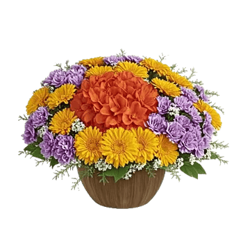 Petal Radiance Bliss