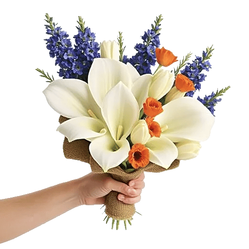 Elegant Calla Lilies