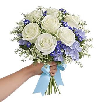 Serene Petal Harmony