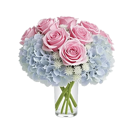 Pink Pastel Roses