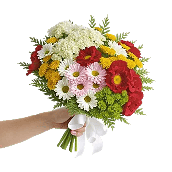 Delicate Petal Cascade