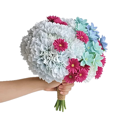 Serene Petal Harmony