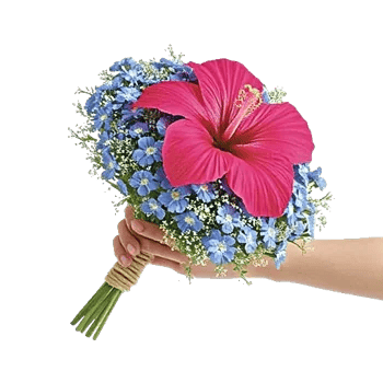 Blossom Petal Serenity