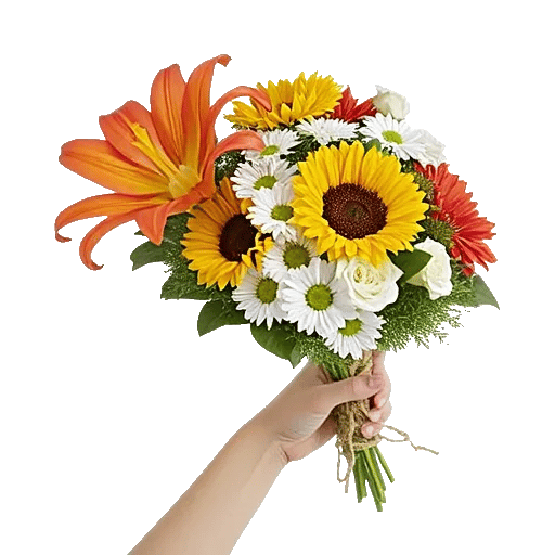 Radiant Petal Display