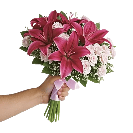 Blushing Rose Symphony