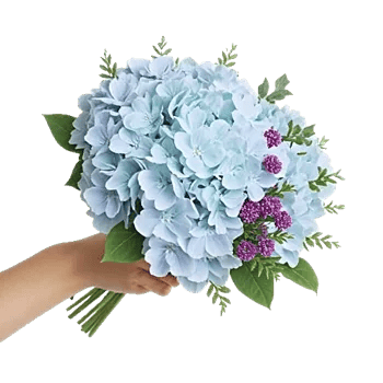 Serene Petal Harmony