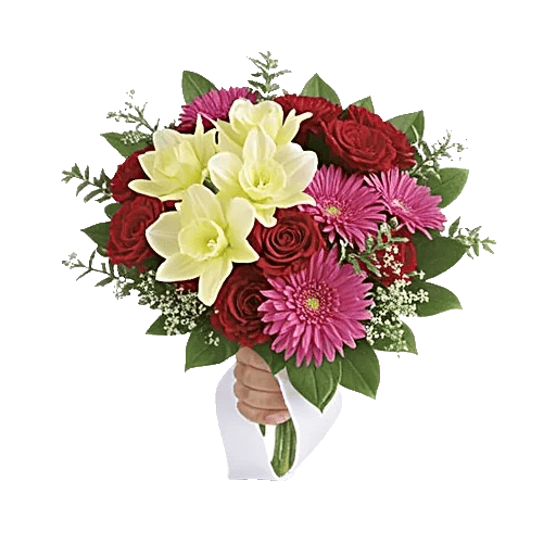 Blossom Harmony Display