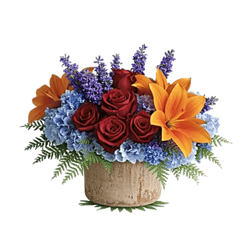 Petal Radiance Bliss