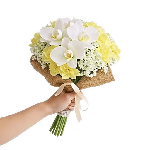 Modern White Orchids