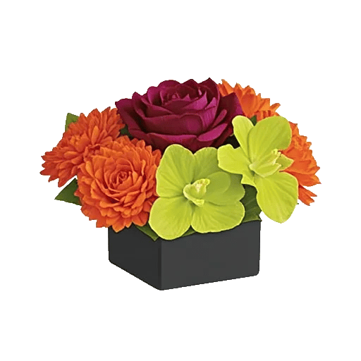 Radiant Rose Symphony