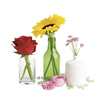 Petal Radiance Bliss